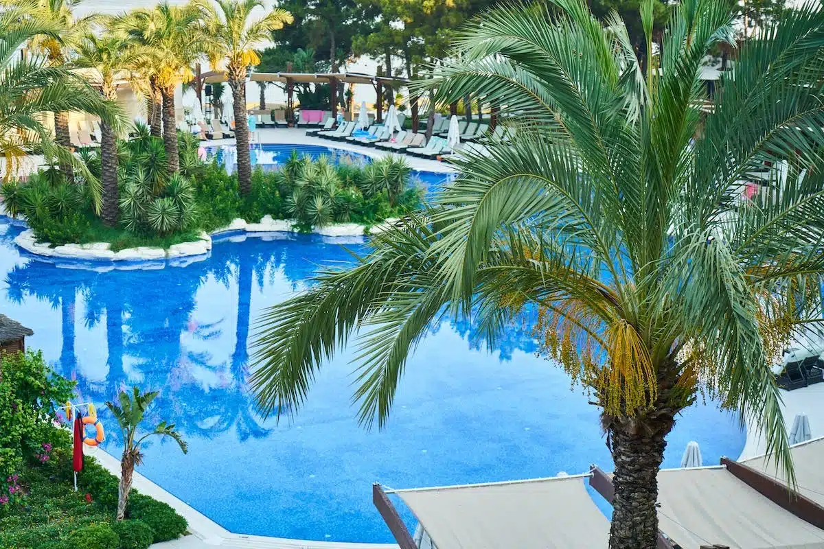 piscine  décoration