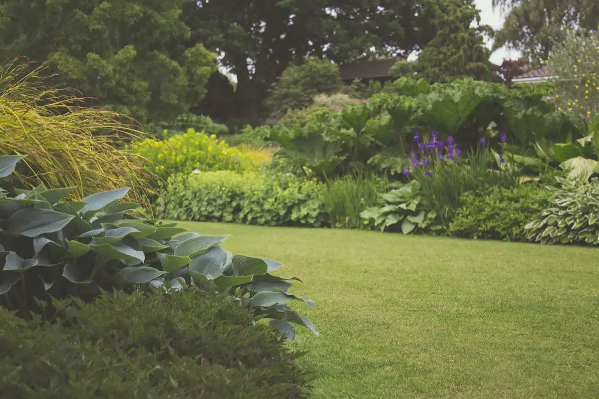 jardin entretien