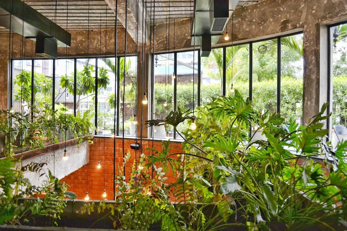 jardin intérieur