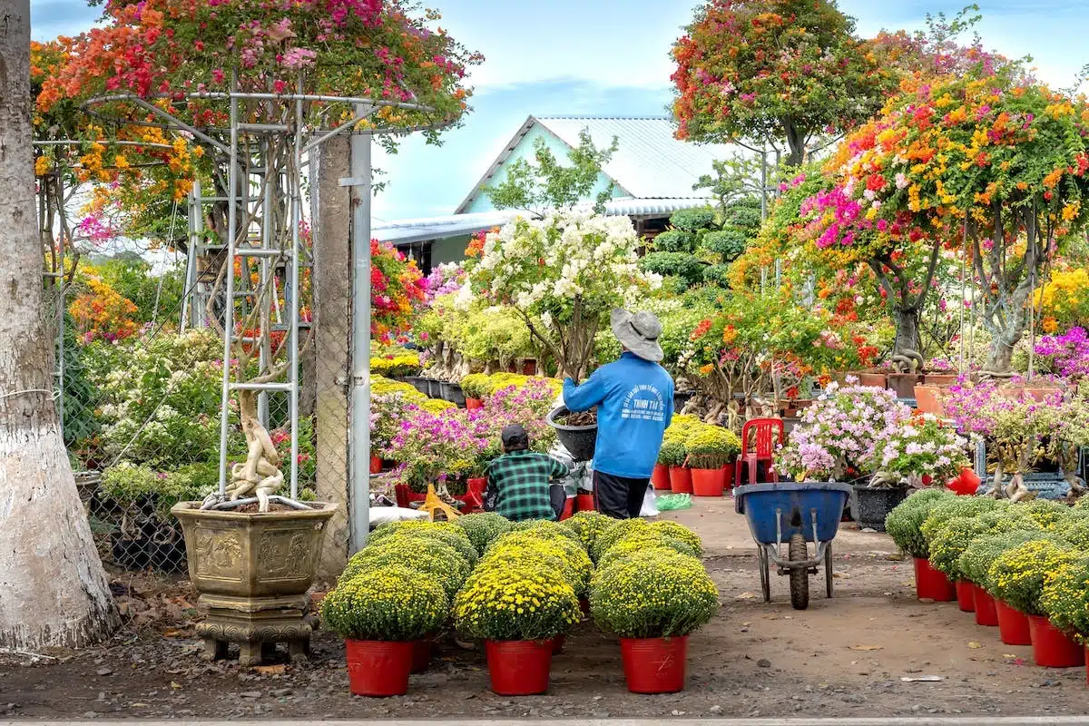 décoration jardin