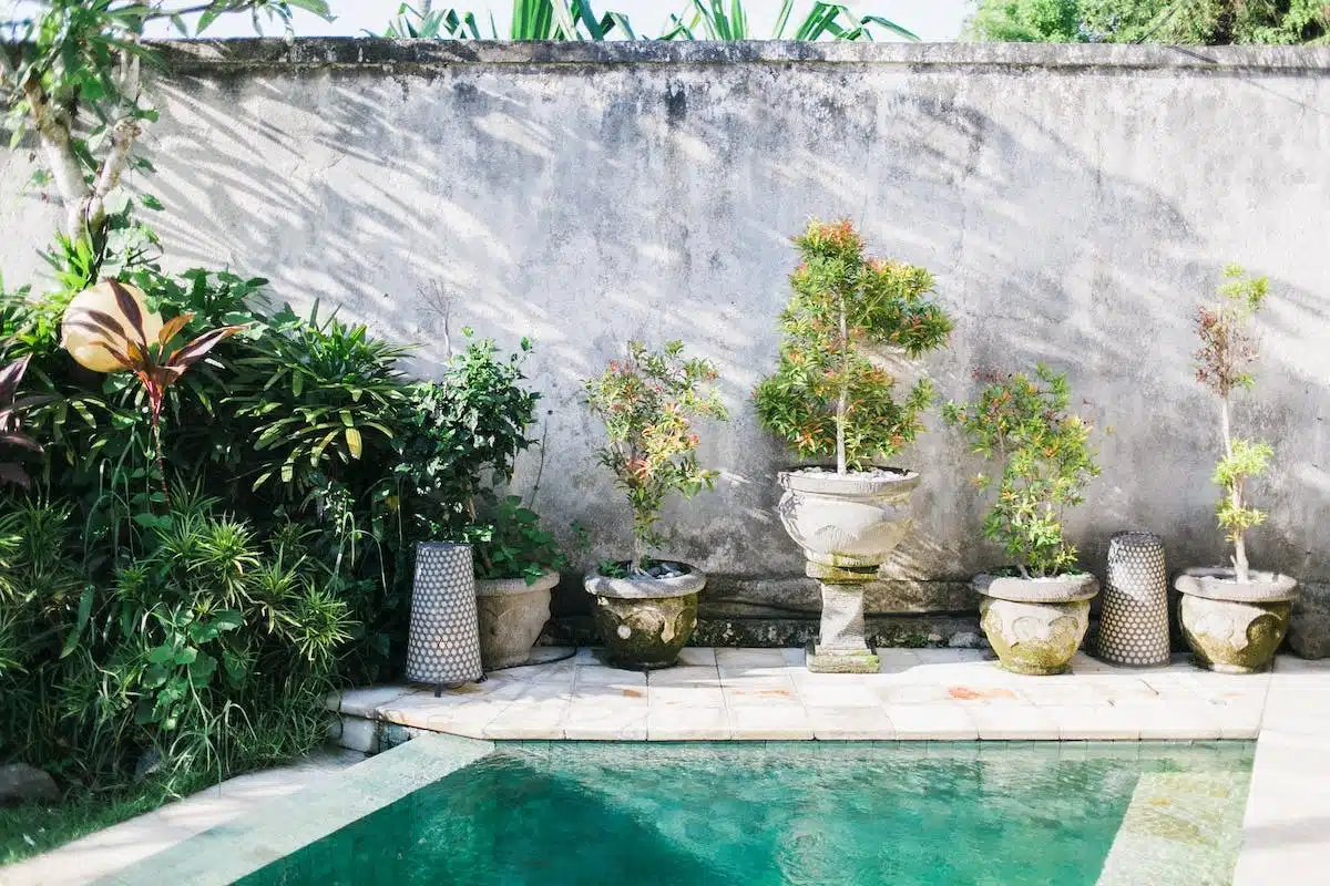 piscine jardin